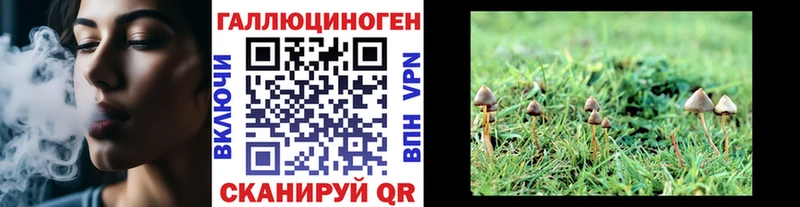 Галлюциногенные грибы MAGIC MUSHROOMS Верхний Уфалей